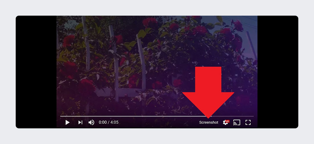 youtube video downloader chrome extension